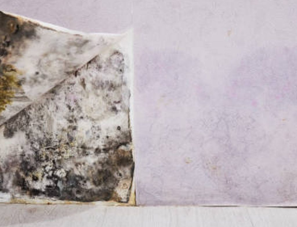 mold on inner wall
